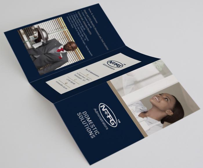 NEFG Domestic Solutions – Z-fold Brochure Graphic Design