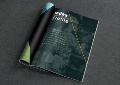 expert SHEQ website and company profile design as well as corporate branding services.