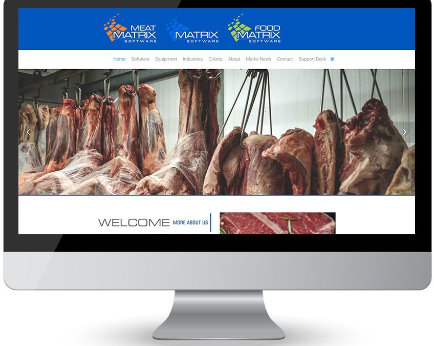Matrix Software Solution – Website Design