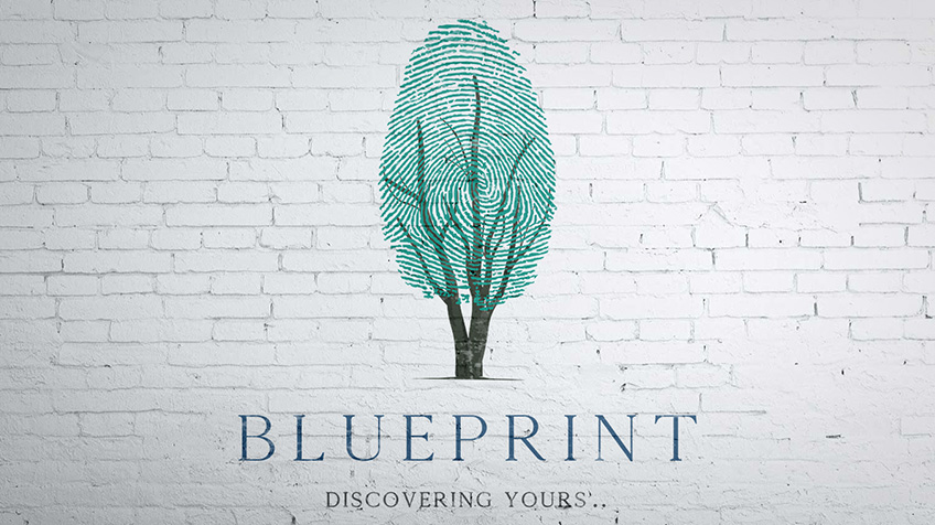 Blueprint – Company Branding Design