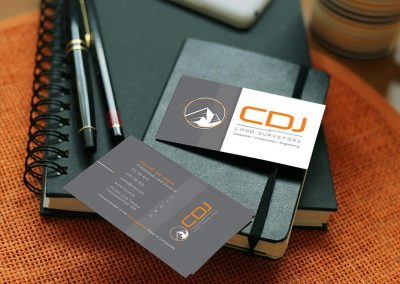 bunnypants cdj business card graphic design
