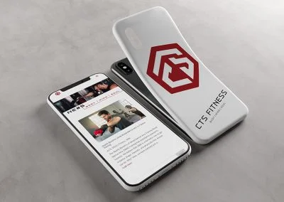 cts fitness mma web design