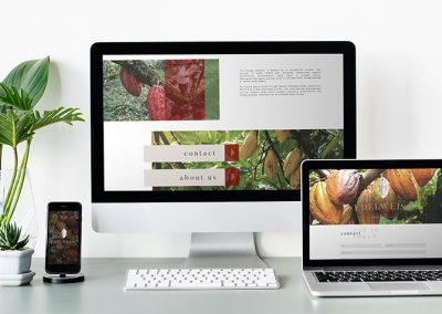 edelweiss comercial cocoa web design
