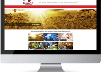 responsive Web Design PPE Pinnacle Protection Enterprises