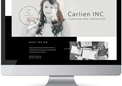 screen web design carlien inc