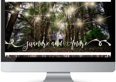 screen web design wedding web design