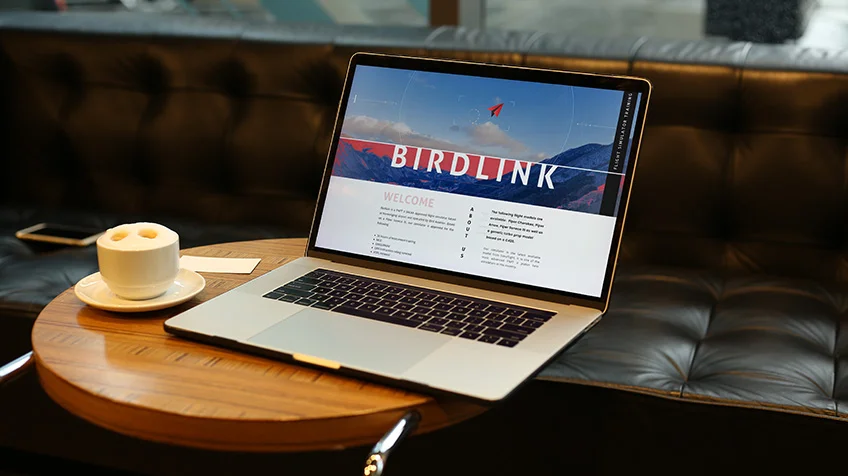 Birdlink – System Web Design