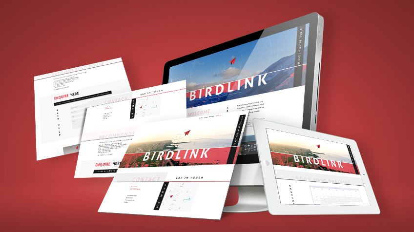 Birdlink - System Web Design