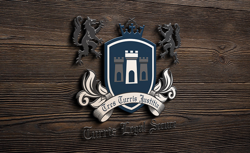 custom logo design services