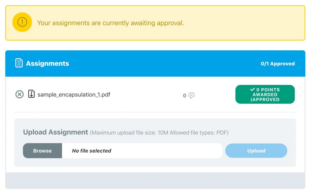 LMS assignments UPLOAD example