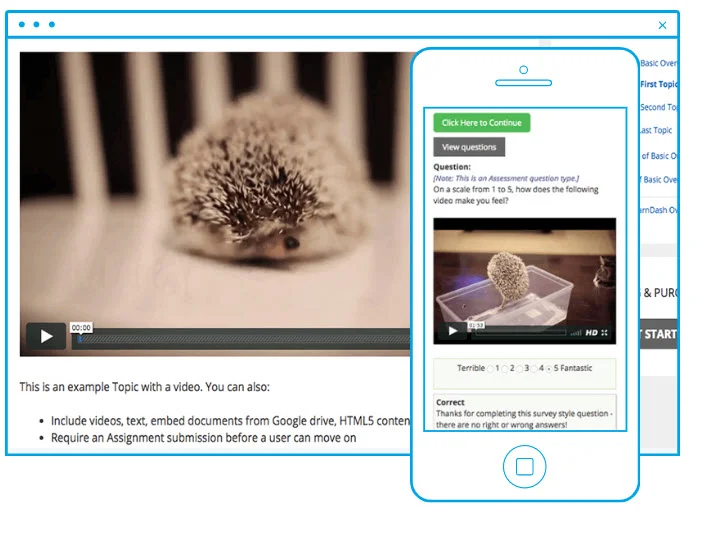 lms media types supported