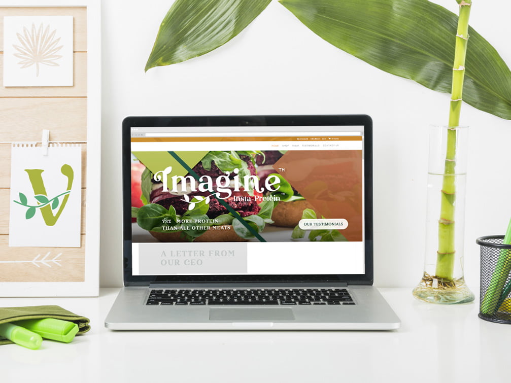 Web design & hosting services in Gauteng