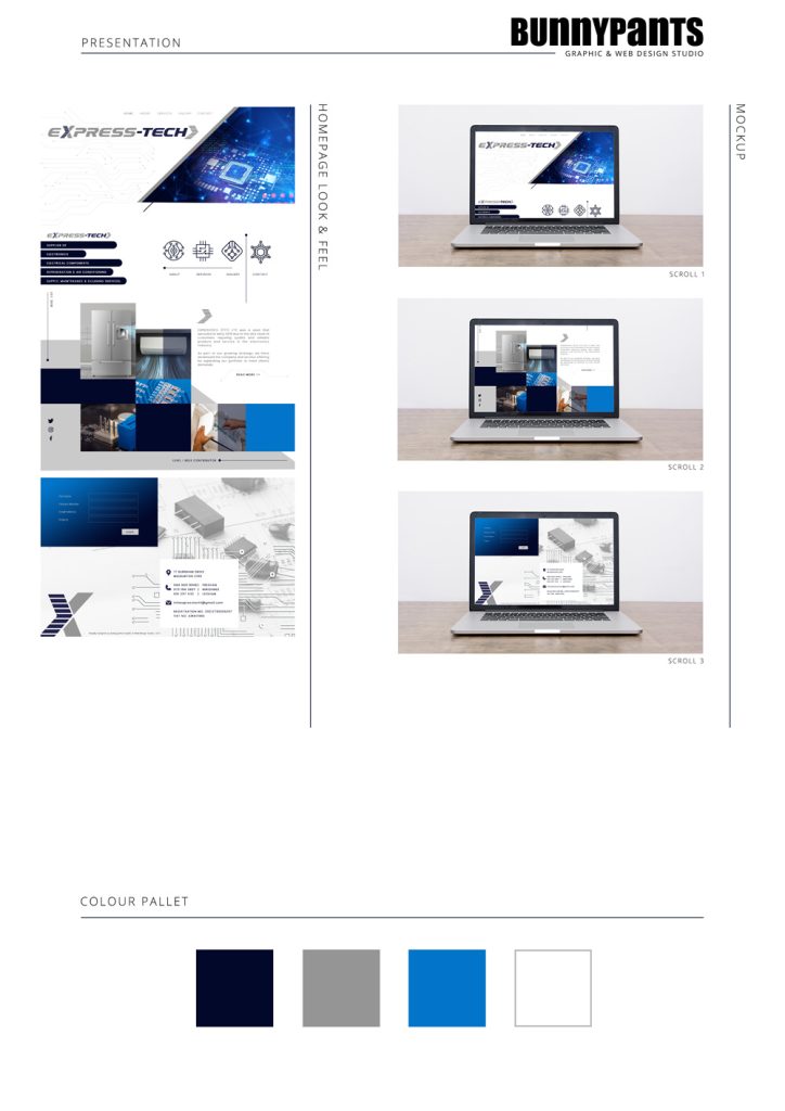 Express Tech Website Presentation Option 1