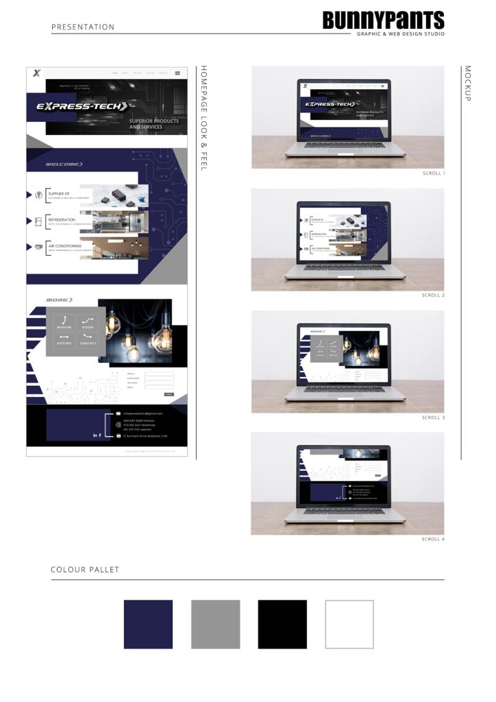 Express Tech Website Presentation Option 2