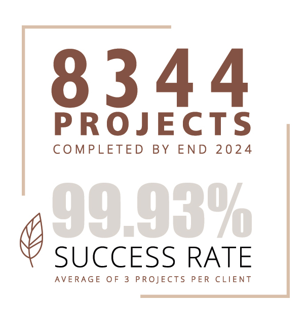 who is bunnypants studio