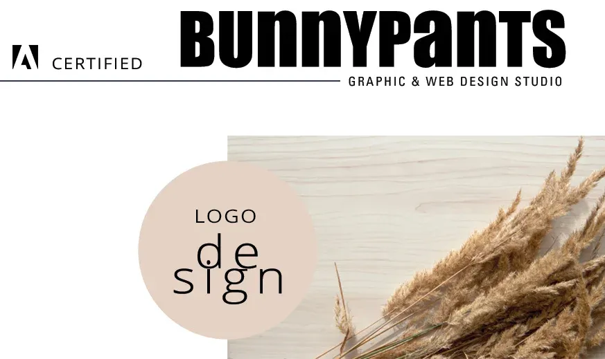 logo design portfolio